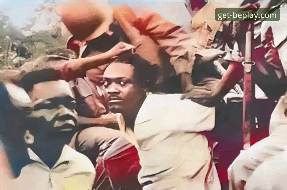 揭秘民主刚果52年后重返世界杯的绝杀之夜：一场悬而未决的博弈背后隐藏的真相